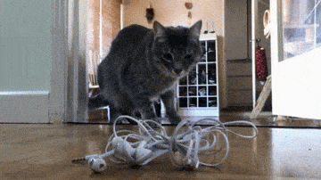 Просто гифки, всякие и&nbsp;разные