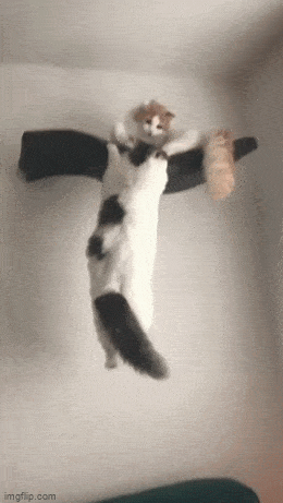 Просто гифки, всякие и&nbsp;разные