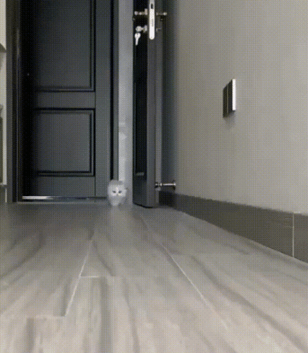 Просто гифки, всякие и&nbsp;разные