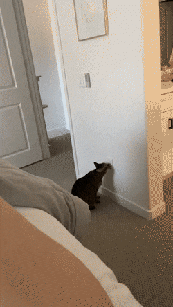 Просто гифки, всякие и&nbsp;разные