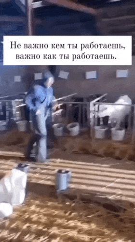 Просто гифки, всякие и&nbsp;разные