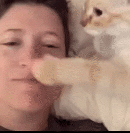 Просто гифки, всякие и&nbsp;разные