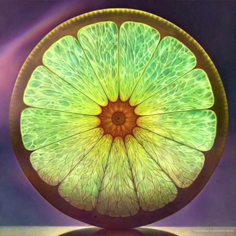 14. Обычный лайм, который выглядит как шедевр