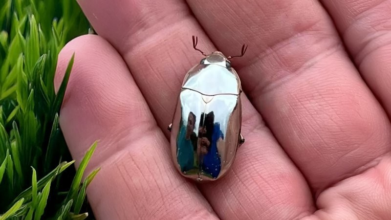 11. Зеркала отдыхают