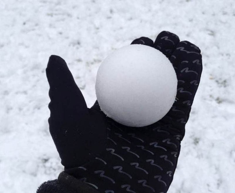 1. У вас поднимется рука бросить это красоту?