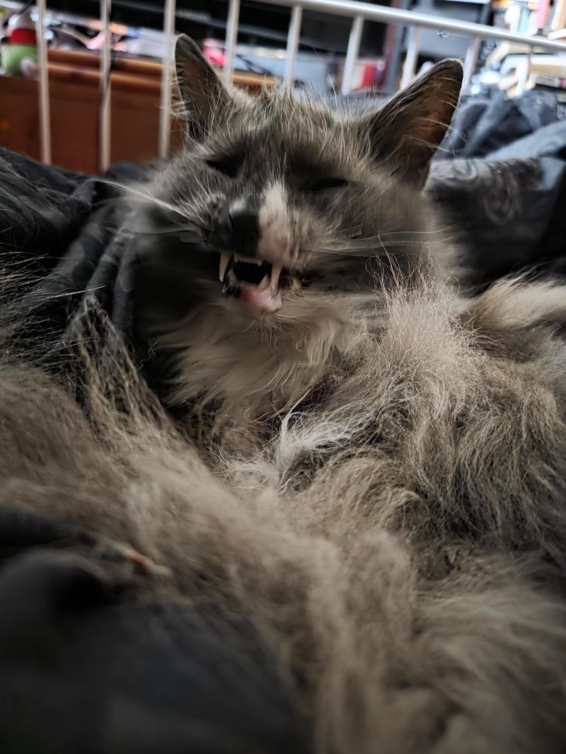 22. А напоследок я спою