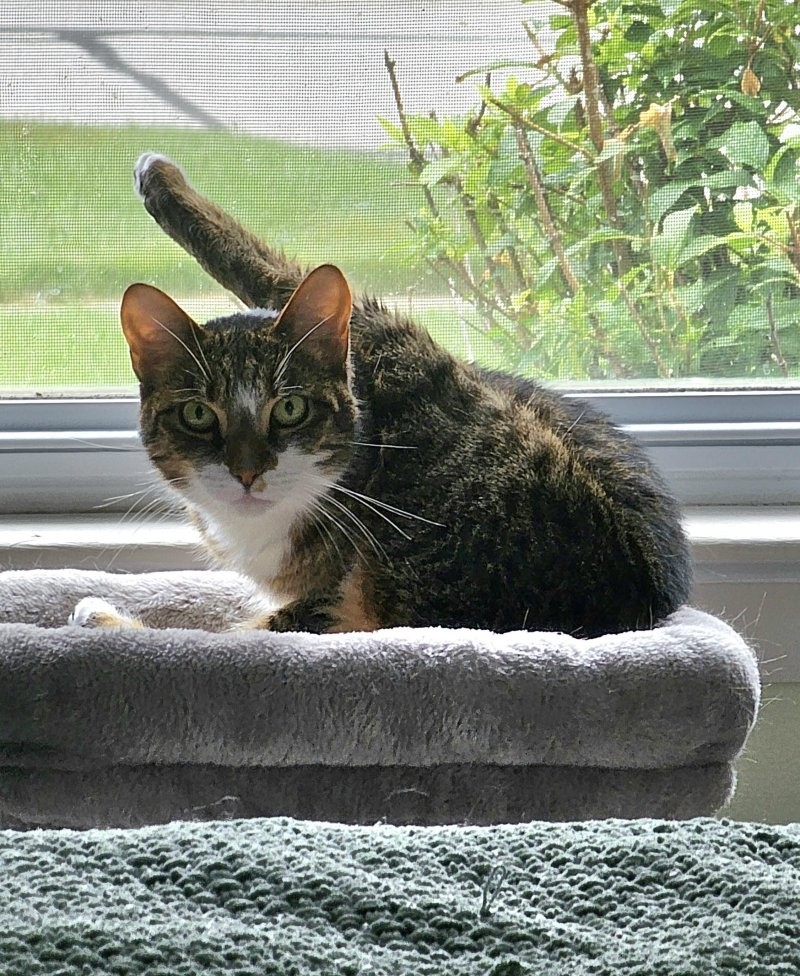 19. Задумался