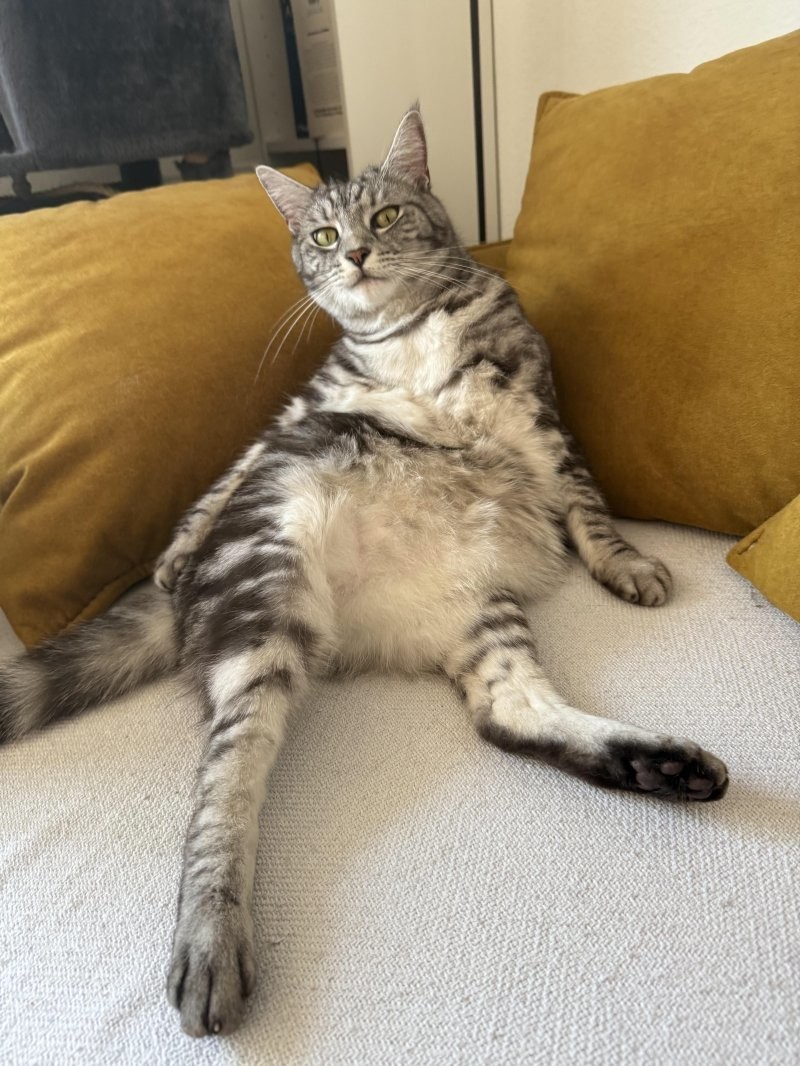 5. Выигрышная поза