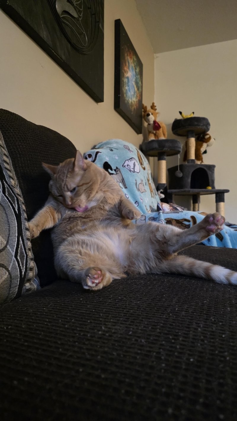 7. Чистота - залог здоровья