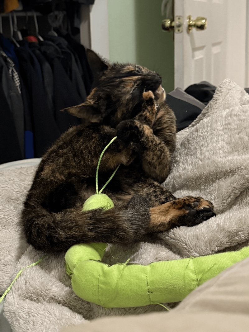 21. Что за странная фигня зацепилась за меня?