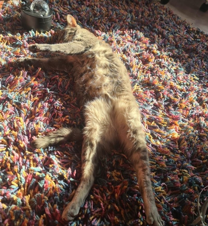 8. Давай, сияй!