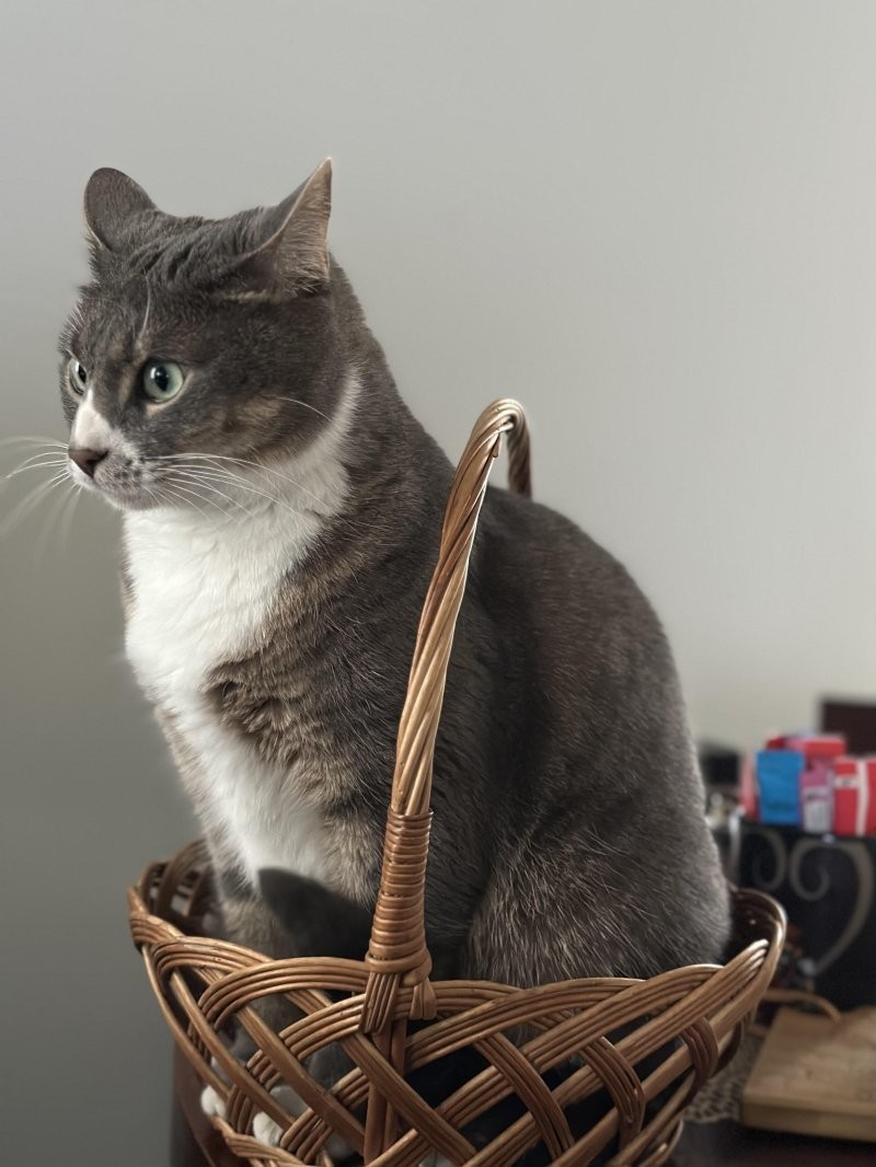 15. Корзинка с сюрпризом