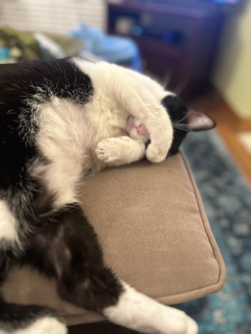 23. Стесняшка-обаяшка