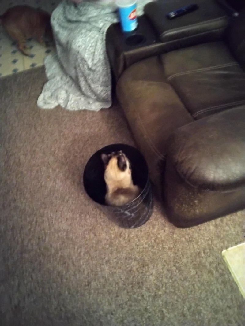 28. Ищешь, ищешь — не найдёшь