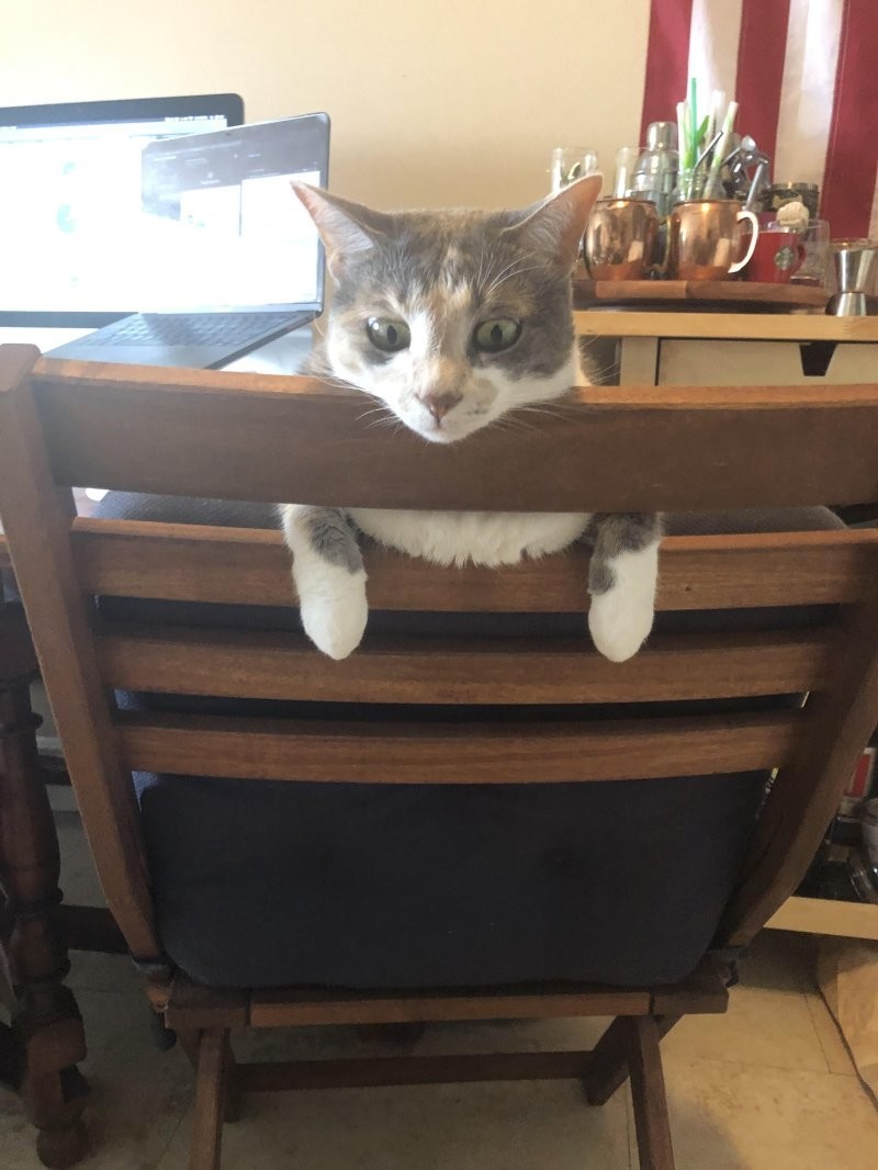 13. Момент сомнений и раздумий