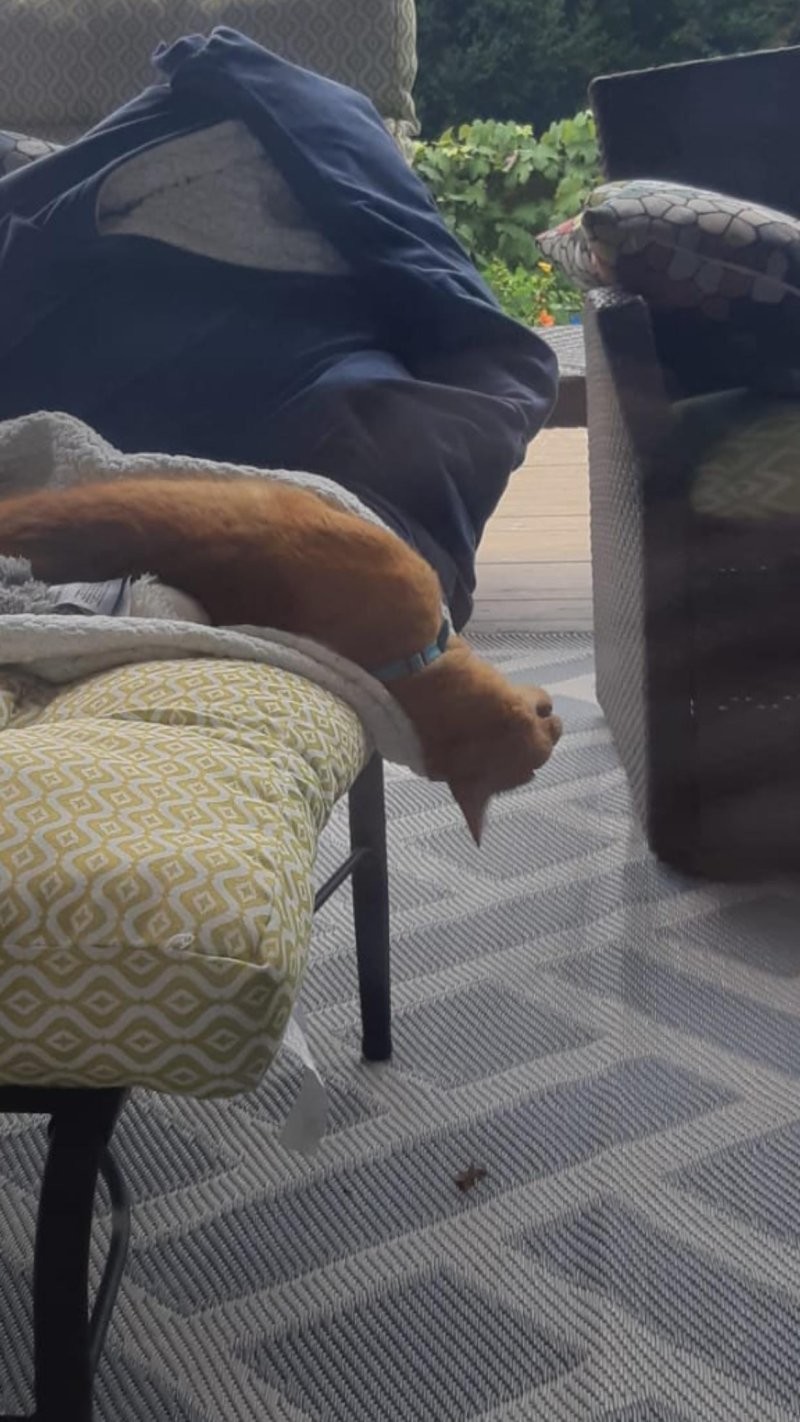 3. Сумеречная дремота