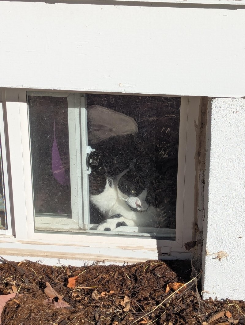 12. Налетела грусть