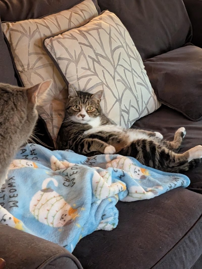 25. Приём только по предварительной записи