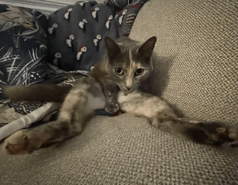 17. Этот неловкий момент