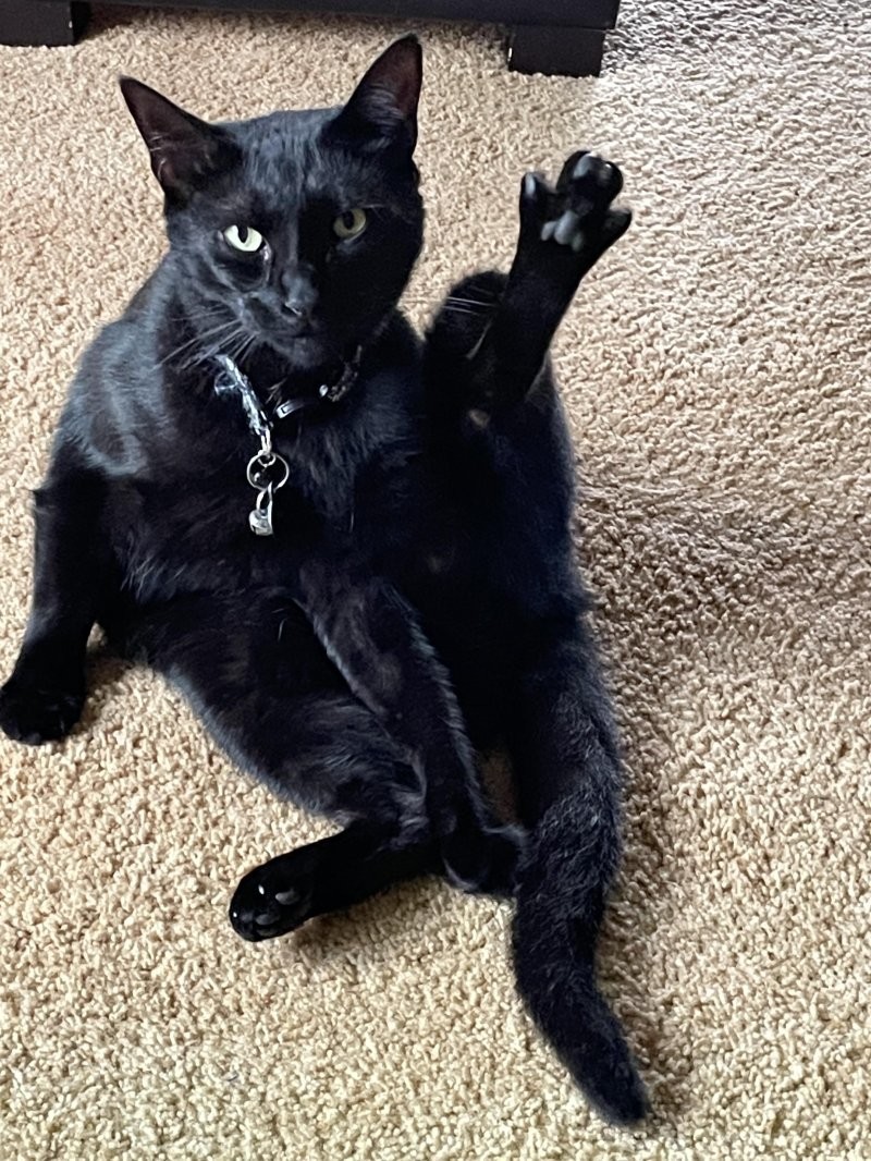 10. Гимнастика - это важно