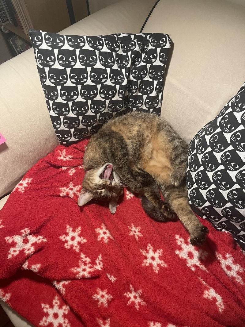 11. Поющая загогулина