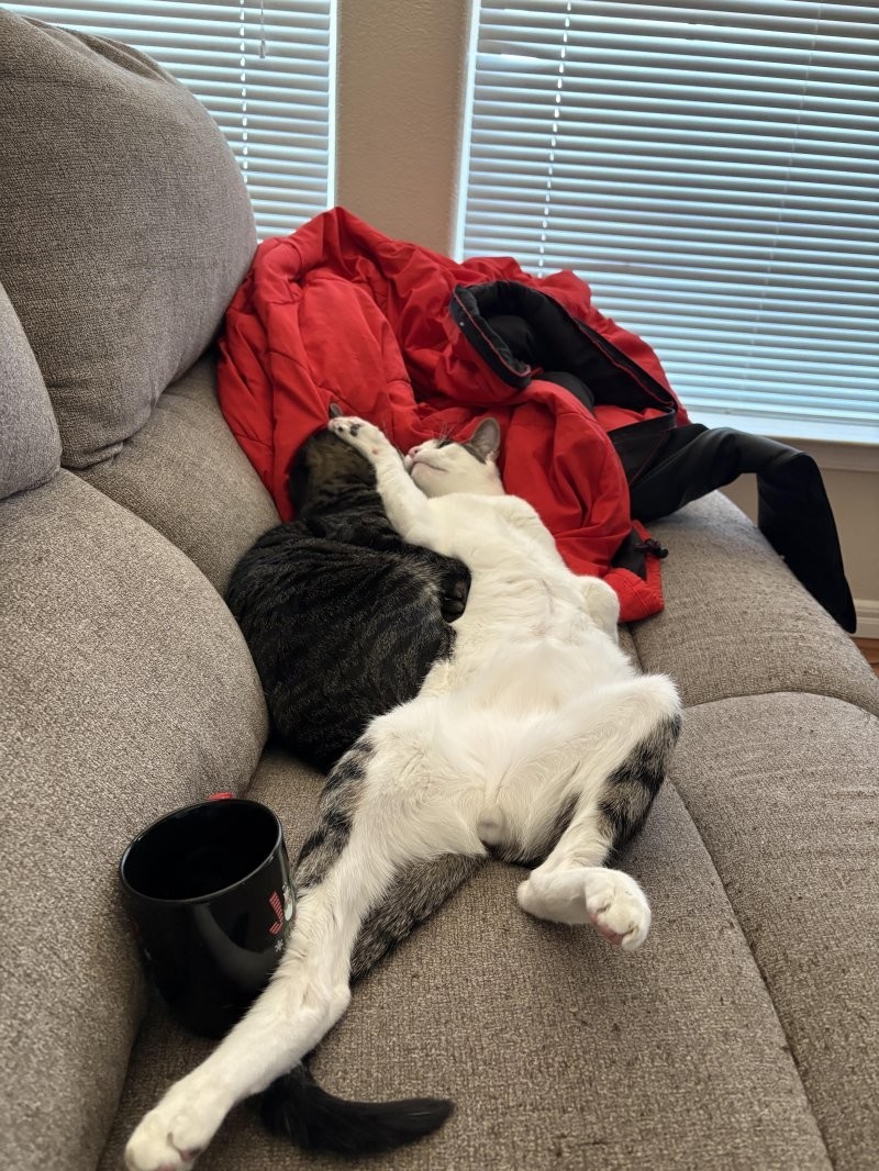 26. Так выглядит экспрессия