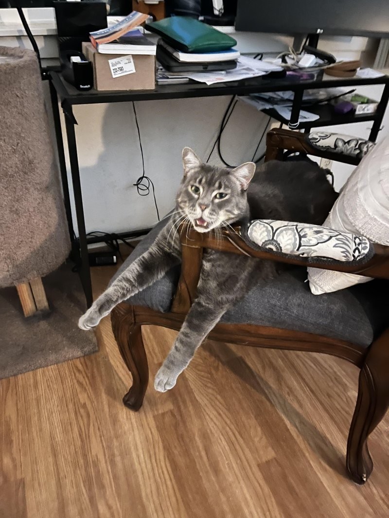 16. И целого стула мало