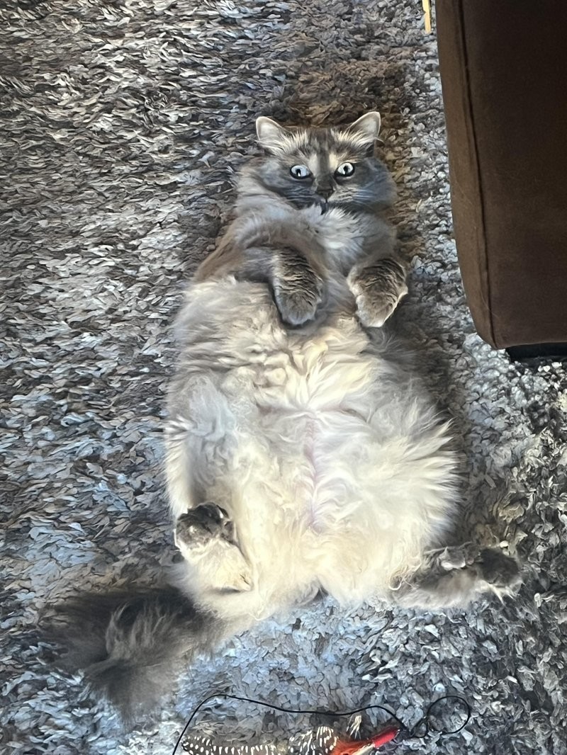 29. Смирение перед неизбежным