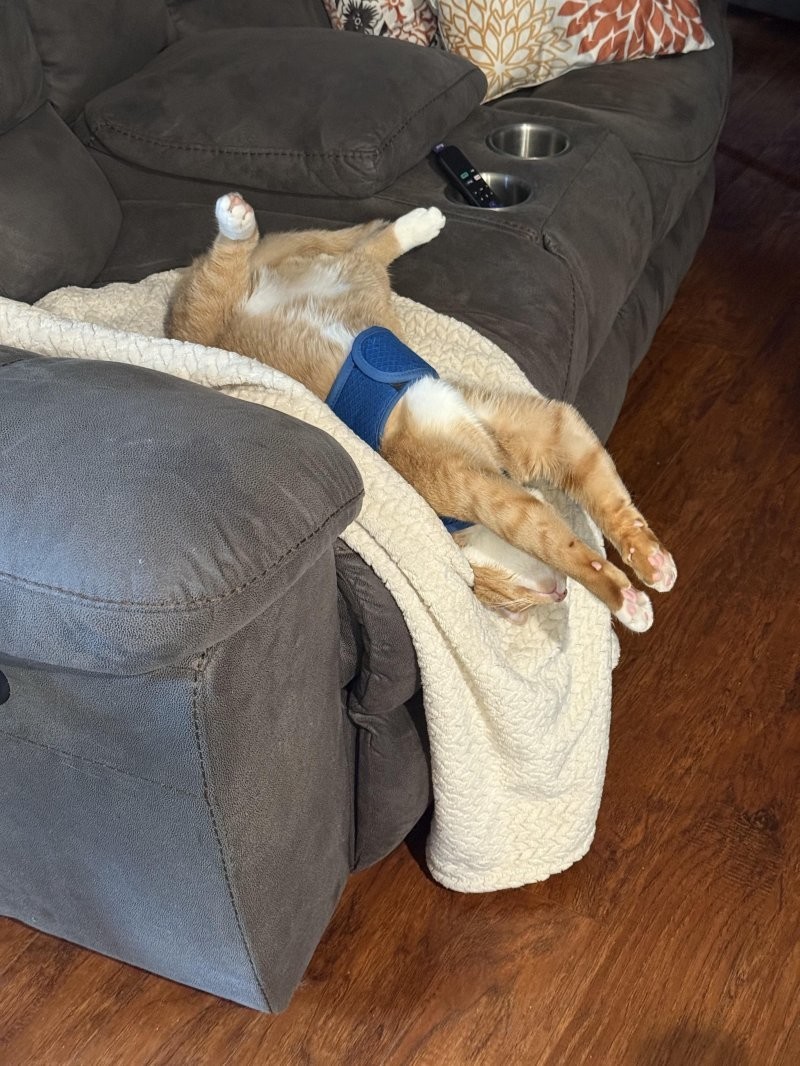 1. Когда уже не там, но ещё и не здесь