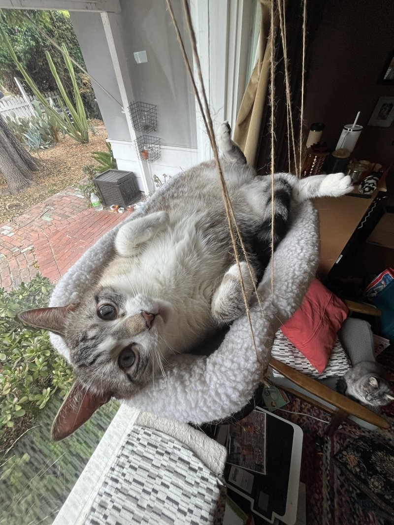 24. Кручу, верчу, запутать хочу