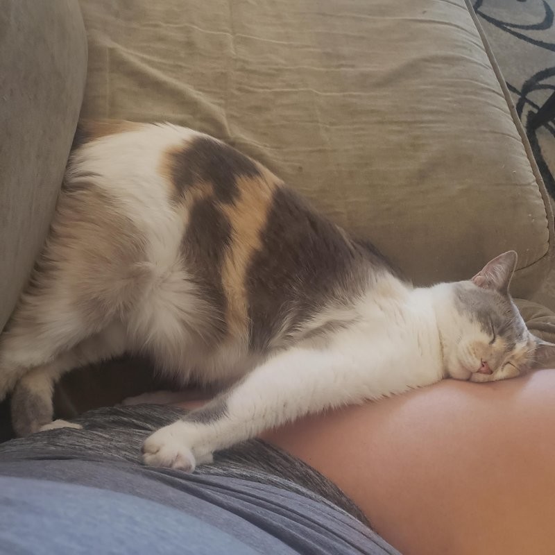 18. Очень тихий час