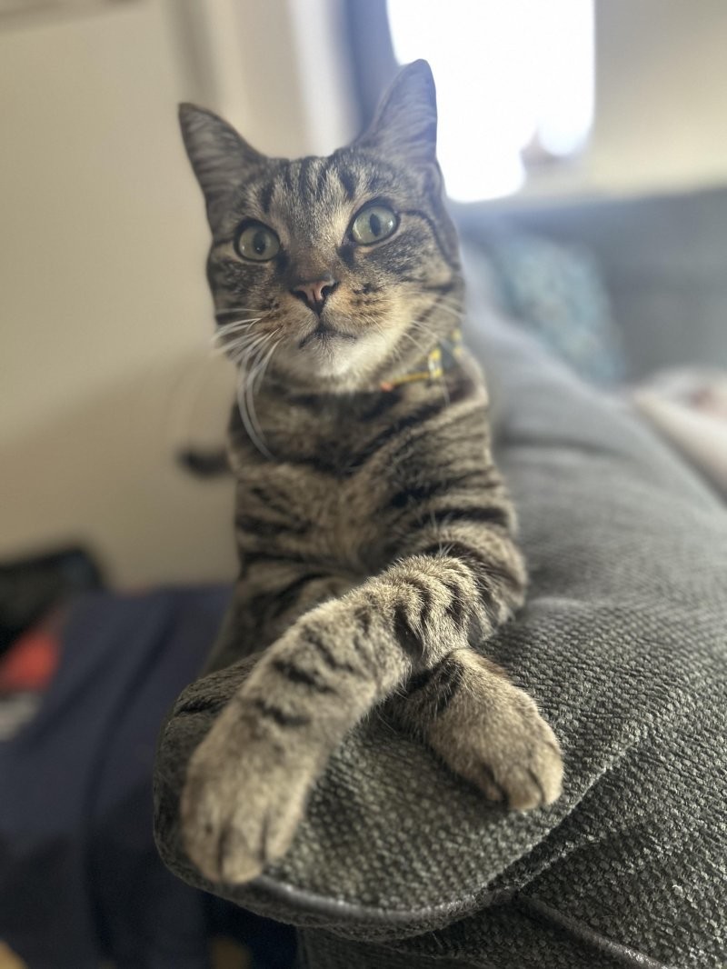 27. Я вас внимательно слушаю