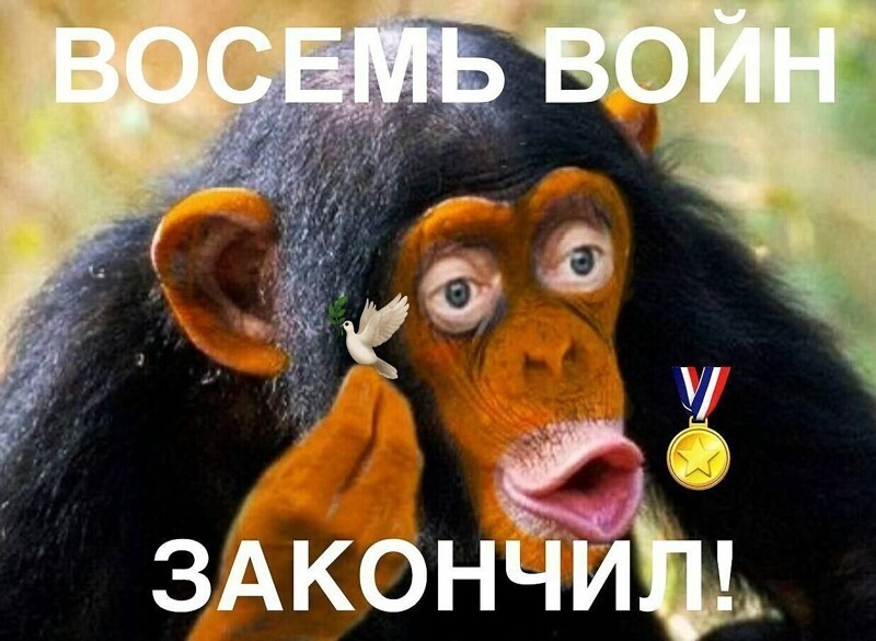 Лишь о политике , лишь о ней