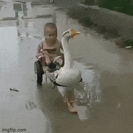 Просто гифки, всякие и&nbsp;разные