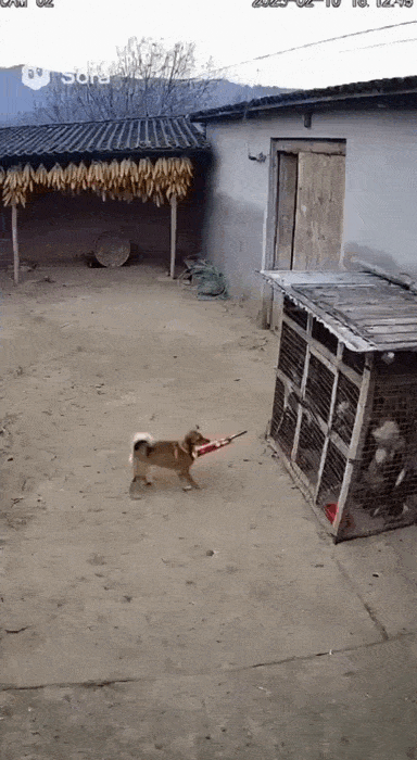 Просто гифки, всякие и&nbsp;разные