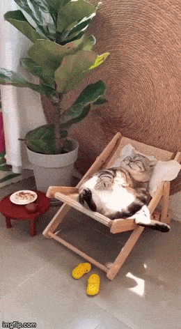 Просто гифки, всякие и&nbsp;разные