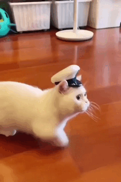 Просто гифки, всякие и&nbsp;разные