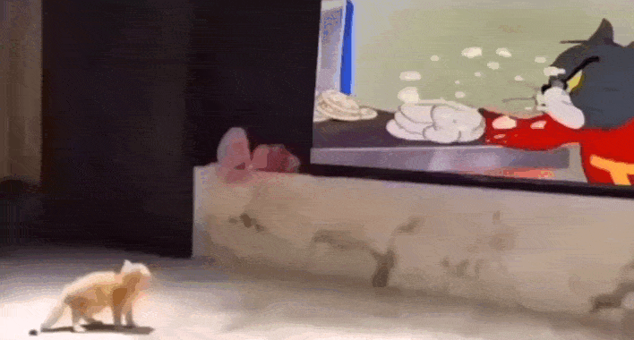 Просто гифки, всякие и&nbsp;разные