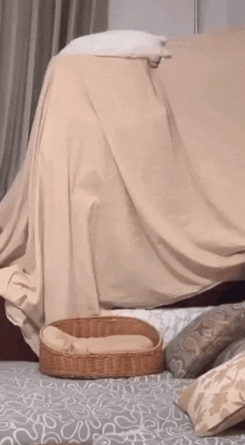 Просто гифки, всякие и&nbsp;разные