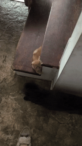 Просто гифки, всякие и&nbsp;разные