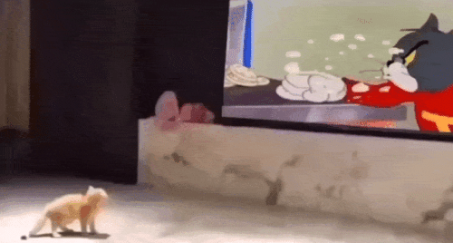 Просто гифки, всякие и&nbsp;разные