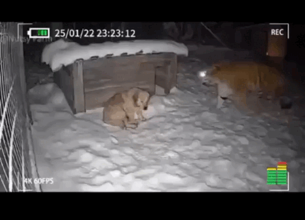 Просто гифки, всякие и&nbsp;разные