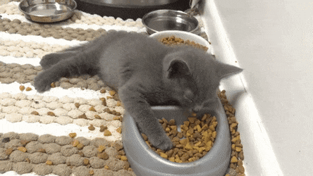 Просто гифки, всякие и&nbsp;разные