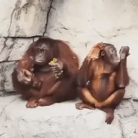 Просто гифки, всякие и&nbsp;разные