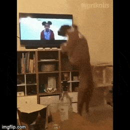 Просто гифки, всякие и&nbsp;разные