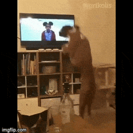 Просто гифки, всякие и&nbsp;разные