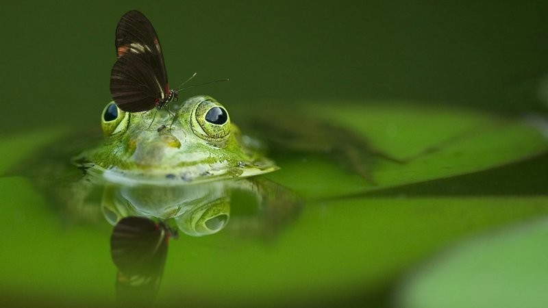 21. Неожиданная встреча