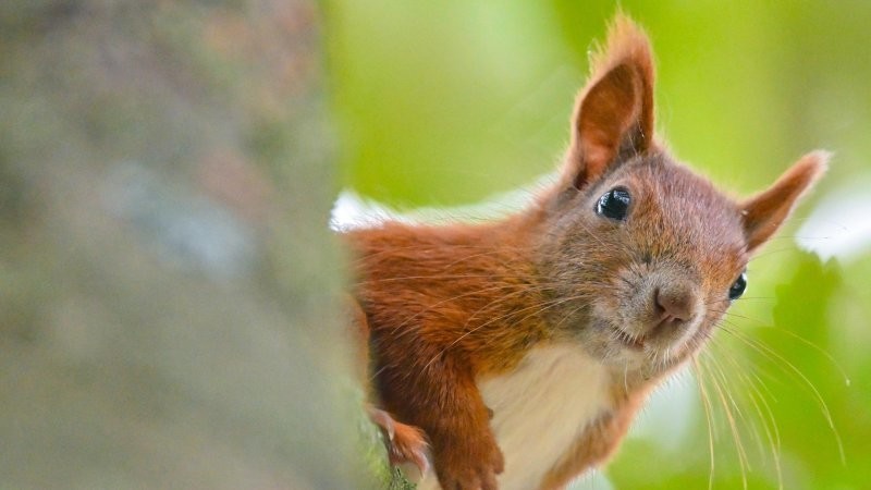 10. Что это там?