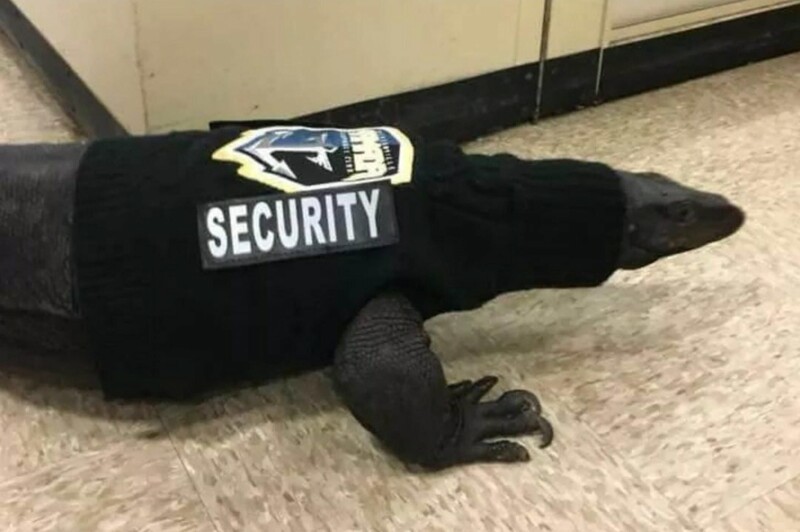 8. Сейчас всё порешаем