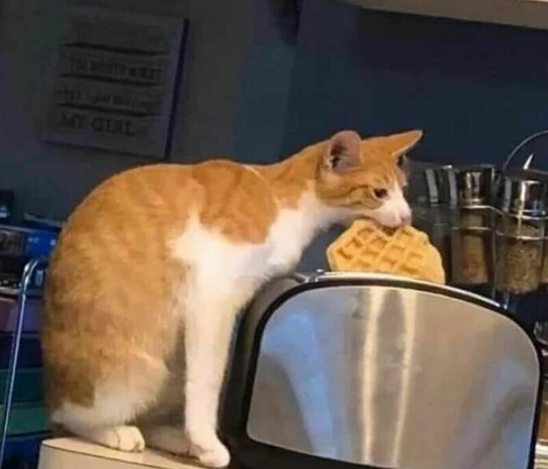 29. Идеальный завтрак